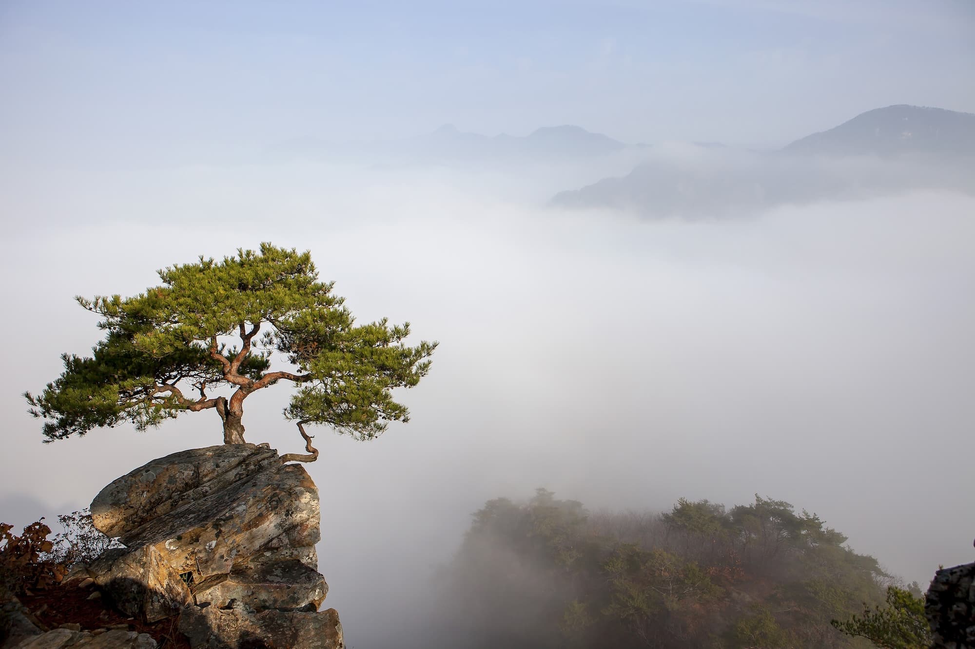 GettyImages-a12282911sm.jpg